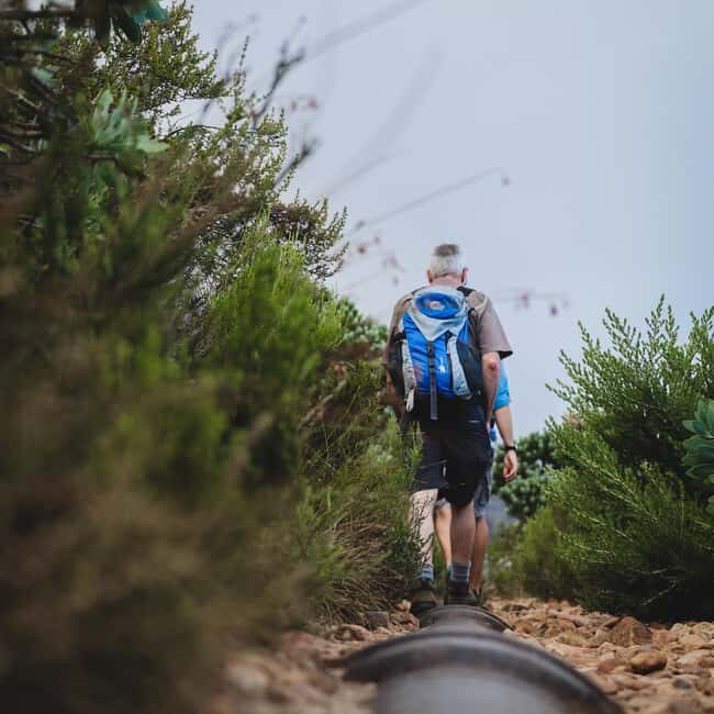 Table Mountain: Kasteelspoort to upper Cable Station. - What To Expect on the Hike