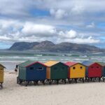 Table Mountain Penguin Colony & Cape Point Incl. Park Fees - An In-Depth Look at the Tour Experience