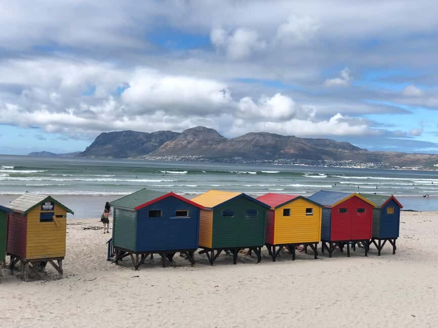 Table Mountain Penguin Colony & Cape Point Incl. Park Fees - An In-Depth Look at the Tour Experience