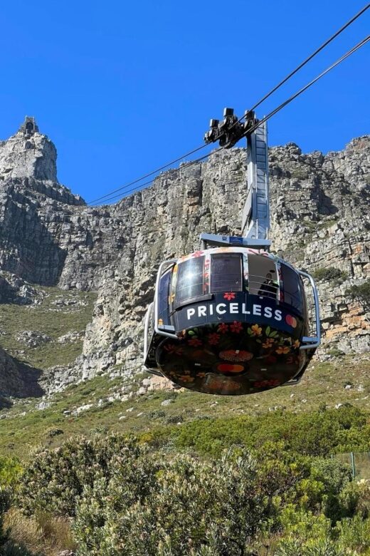 Table Mountain & Robben Island Tour with Ferry Tickets. - What to Expect on the Tour