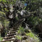 Table Mountain: Skeleton Gorge Hike - The Guides and the Experience