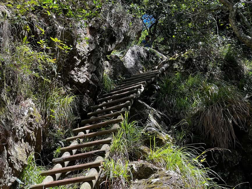 Table Mountain: Skeleton Gorge Hike - The Guides and the Experience