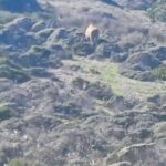 Table Mountain,Seals,Penguin,Cape of good hope,Bokaap , - The Practical Details