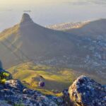 Table Moutain & Cape Peninsula: Full-day Tour - Who Will Love This Tour?
