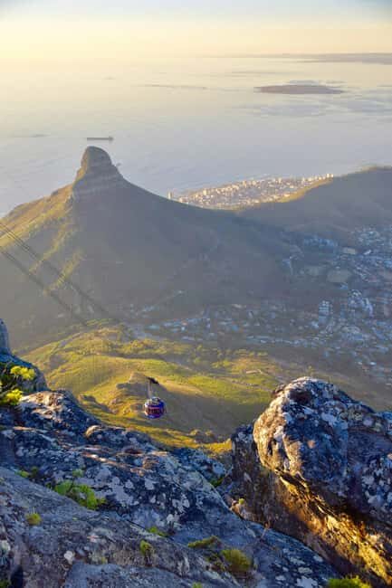Table Moutain & Cape Peninsula: Full-day Tour - Who Will Love This Tour?