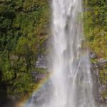 Tafi Atome Monkey Sanctuary and Wli Waterfall Day Tour - The Practical Details
