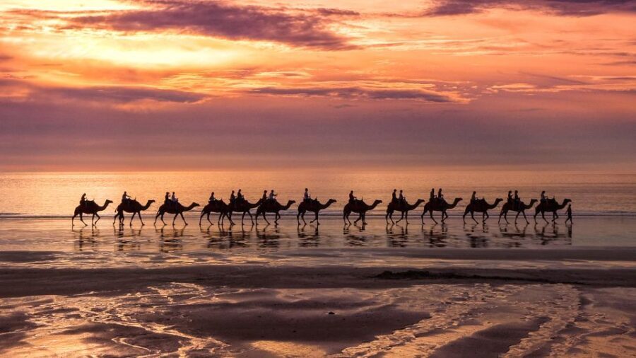 Taghazout Sunset Camel Ride - The Guided Experience and Animal Care