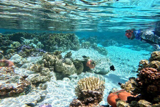 Tahaa Excursion in Electric Paddle Snorkeling Coral Garden - Whats Included and What’s Not