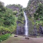 Tahiti Classical Coastal Full Day Private Tour - Who Is This Tour Best For?