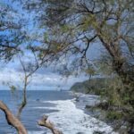 Tahiti: Northeast Coast Waterfalls&Viewpoints Half Day Tour - Frequently Asked Questions