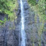 Tahiti: Private Half Day Culture and Nature Highlights Tour - FAQ
