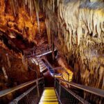 Tahune Airwalk & Hastings Cave Active Day Tour from Hobart - Is It Worth the Price?