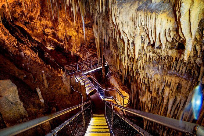 Tahune Airwalk & Hastings Cave Active Day Tour from Hobart - Is It Worth the Price?