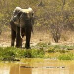 Tamale: 3-Day Northern Ghana Cultural and Wildlife Adventure - What Travelers Should Know
