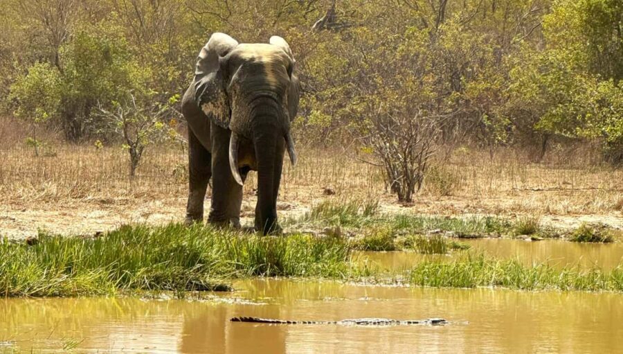 Tamale: 3-Day Northern Ghana Cultural and Wildlife Adventure - What Travelers Should Know