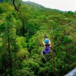 Tamborine Mountain: TreeTop Challenge Adrenaline Pass - What’s Included and How Valued Is It?