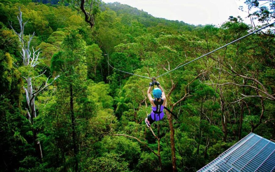 Tamborine Mountain: TreeTop Challenge Adrenaline Pass - What’s Included and How Valued Is It?