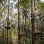 Tamborine Mountain TreeTop Challenge Adventure Park - Who Will Love This Experience?