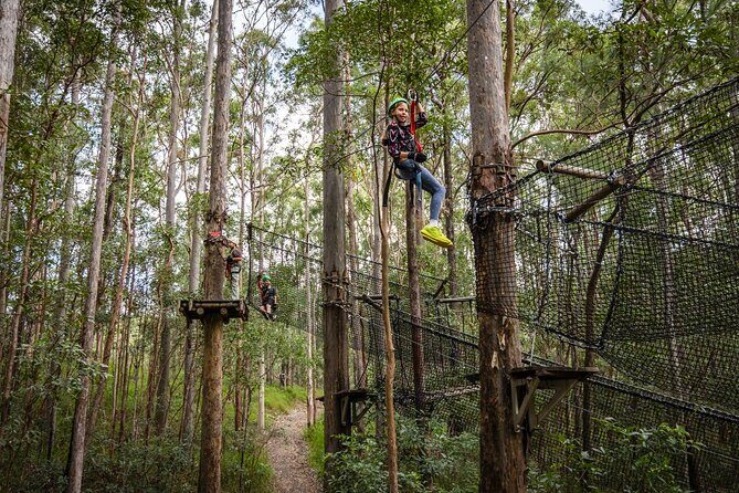 Tamborine Mountain TreeTop Challenge Adventure Park - Who Will Love This Experience?