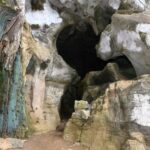 Tanga: Amani Nature Reserve, Amboni Caves, and Pangani - Practical Details & What to Expect