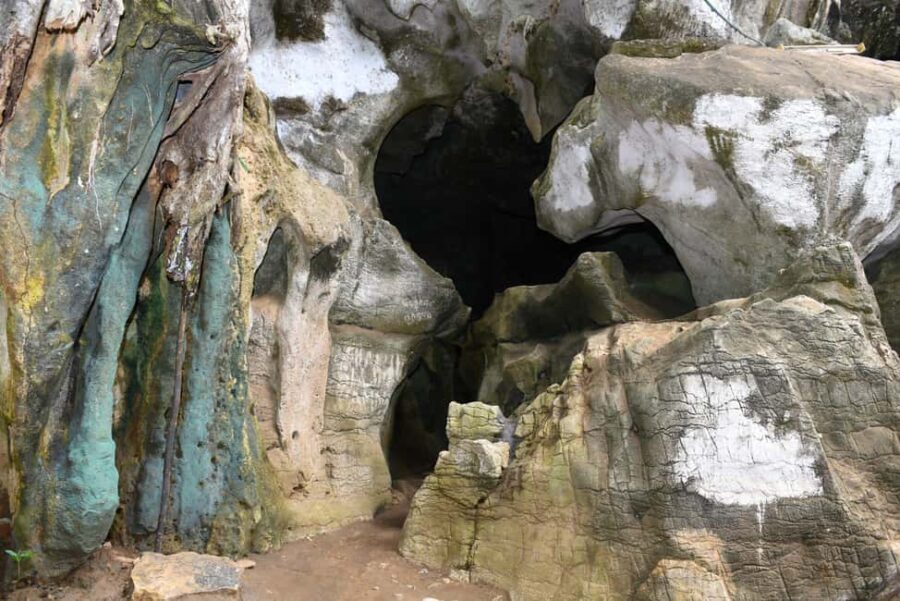 Tanga: Amani Nature Reserve, Amboni Caves, and Pangani - Practical Details & What to Expect
