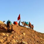 Tangier: Achakar Beach Sunset Camel Ride & Moroccan Dinner - Who Will Love This Tour?