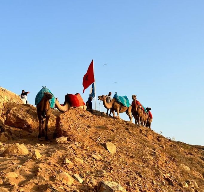 Tangier: Achakar Beach Sunset Camel Ride & Moroccan Dinner - Who Will Love This Tour?