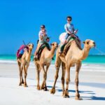 Tangier: Cap Spartel, Hercules Caves & Camel Ride - Who Should Consider This Tour?