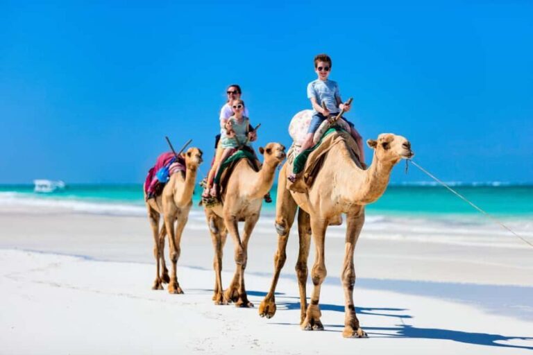 Tangier: Cap Spartel, Hercules Caves & Camel Ride - Who Should Consider This Tour?