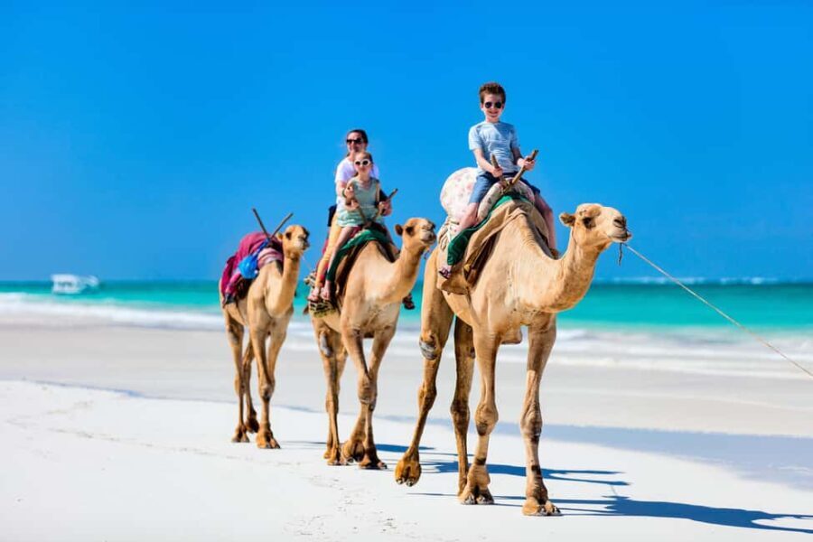 Tangier: Cap Spartel, Hercules Caves & Camel Ride - Who Should Consider This Tour?