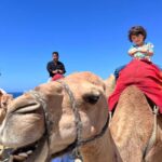 Tangier Food Tour : Highlights, Medina, Souks & Camel. - Exploring Tangier’s Highlights and the Experience