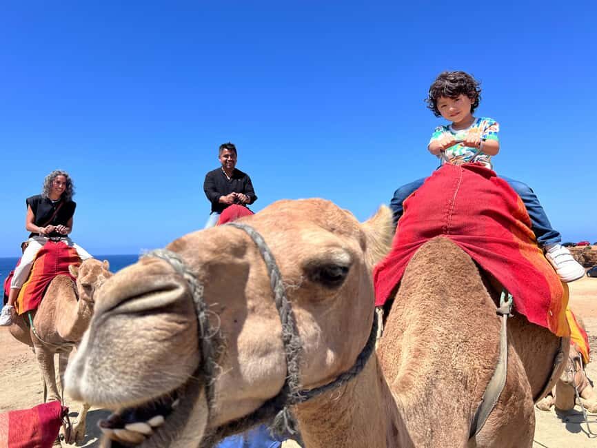 Tangier Food Tour : Highlights, Medina, Souks & Camel. - Exploring Tangier’s Highlights and the Experience