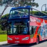 Tangier: Hop-On Hop-Off Sightseeing Bus - Who Will Love This Tour?