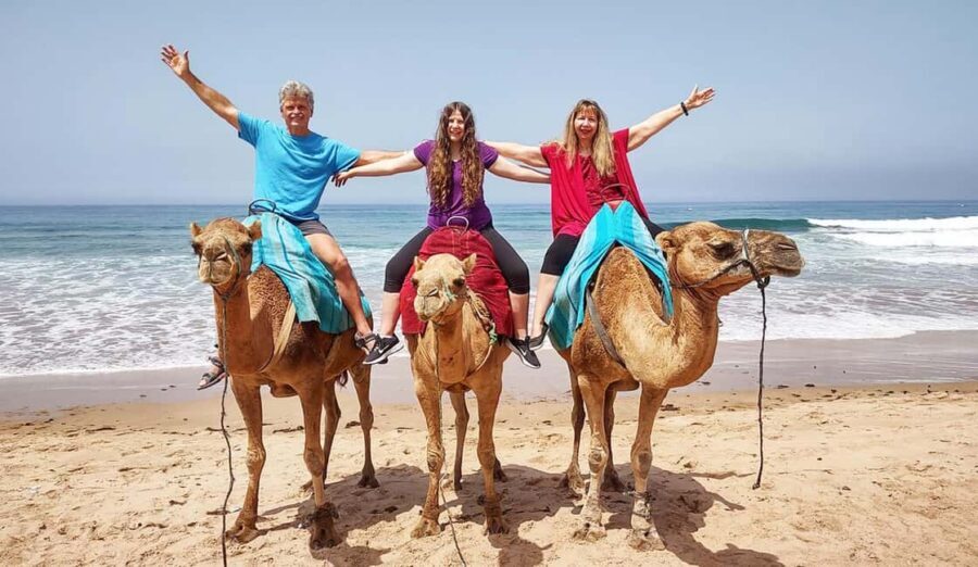 Tangier Private Half-Day Tour + Camel Ride + Add-on: Lunch - Why This Tour Offers Good Value