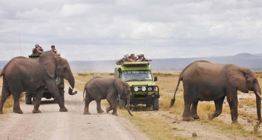 Tanzania: 10-Day Safari and Zanzibar Beach Experience - What to Pack and Practical Tips