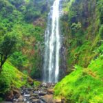 Tanzania:, 11 Days Safari and Cultural Experience - FAQs