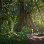 Tanzania: 2-Day Lake Chala and Arusha National Park Safari - Value and Practicalities