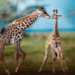 Tanzania: 2-Days Safari to Tarangire and Ngorongoro - Exploring the Itinerary: What Makes Each Stop Special?