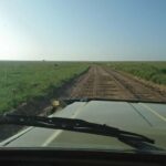 Tanzania : 3-Day Safari with Lake Manyara and Ngorongoro - What’s Included and Practical Details