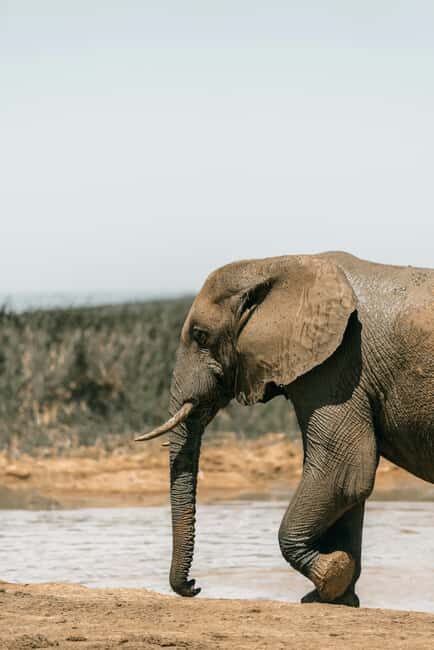 Tanzania: 4-Day Mid-Range Tour Tara, Serengeti & Ngorongoro - The Practical Side: What You Should Know