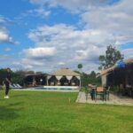 Tanzania: 4-Day Safari to Tarangire, Serengeti, and - What’s Included and What’s Not