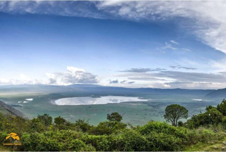 Tanzania: 5-Day Safari to Tarangire, Ngorongoro, and Manyara - Practical Aspects and Value