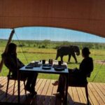 Tanzania: 5-Day Serengeti & Ngorongoro Crater Luxury Safari - Authentic Experiences You’ll Remember