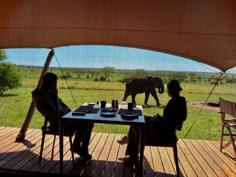 Tanzania: 5-Day Serengeti & Ngorongoro Crater Luxury Safari - Authentic Experiences You’ll Remember