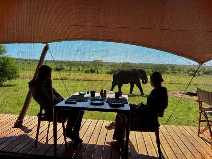 Tanzania: 5-Day Serengeti & Ngorongoro Crater Luxury Safari - Authentic Experiences You’ll Remember