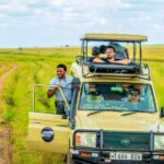 Tanzania: 6-Day Great Migration Safari - What Makes This Safari Stand Out?