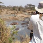Tanzania: 6-Day Luxury Safari to Serengeti and Ngorongoro - What Sets This Tour Apart