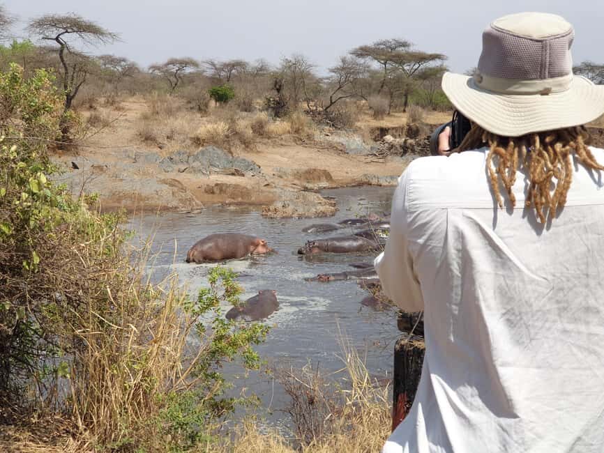 Tanzania: 6-Day Luxury Safari to Serengeti and Ngorongoro - What Sets This Tour Apart