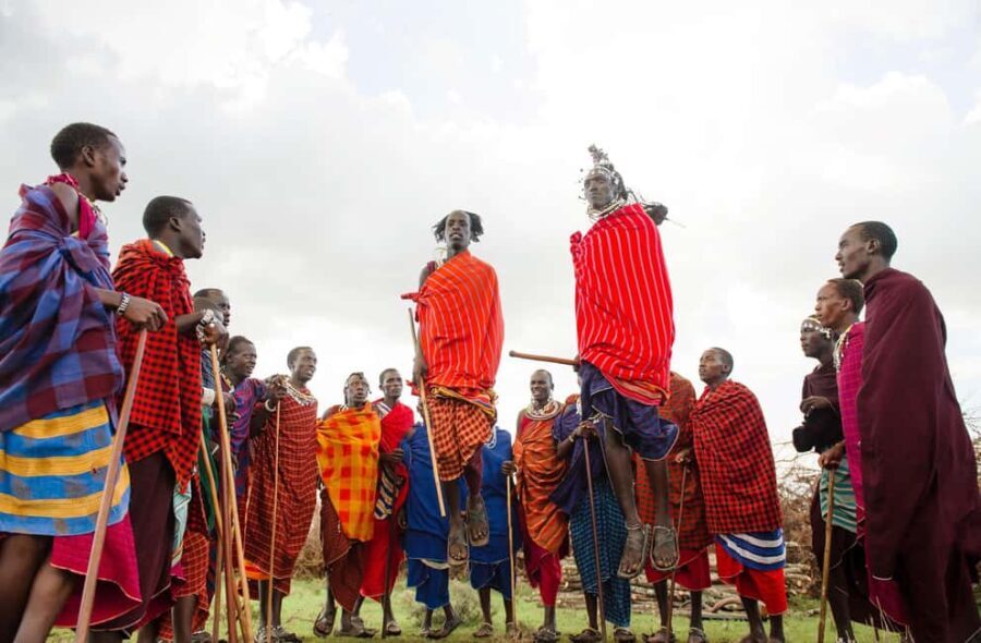 Tanzania: 7 Day Luxury Safari - What You Can Expect from This 7-Day Tanzania Safari
