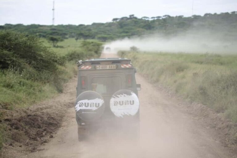 Tanzania: 8 Days Drive In Fly Out Luxury Safari - Is This Tour Worth the Price?
